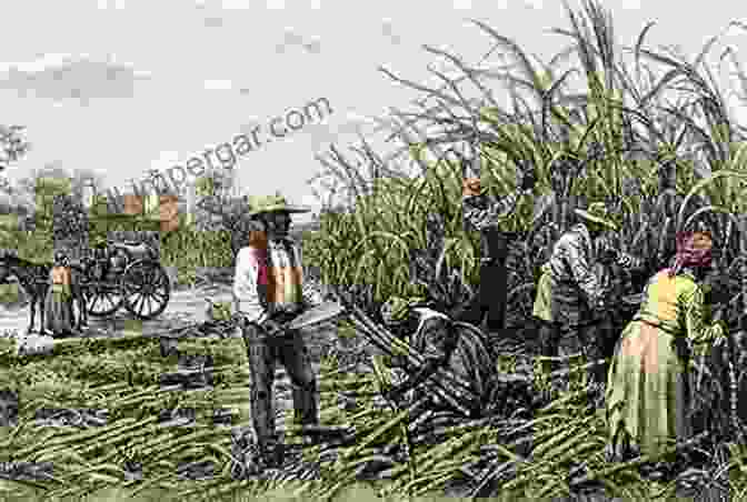 A Group Of Enslaved People Working In A Plantation Field, Under The Watchful Eye Of A White Overseer Plantations Of Virginia Charlene C Giannetti