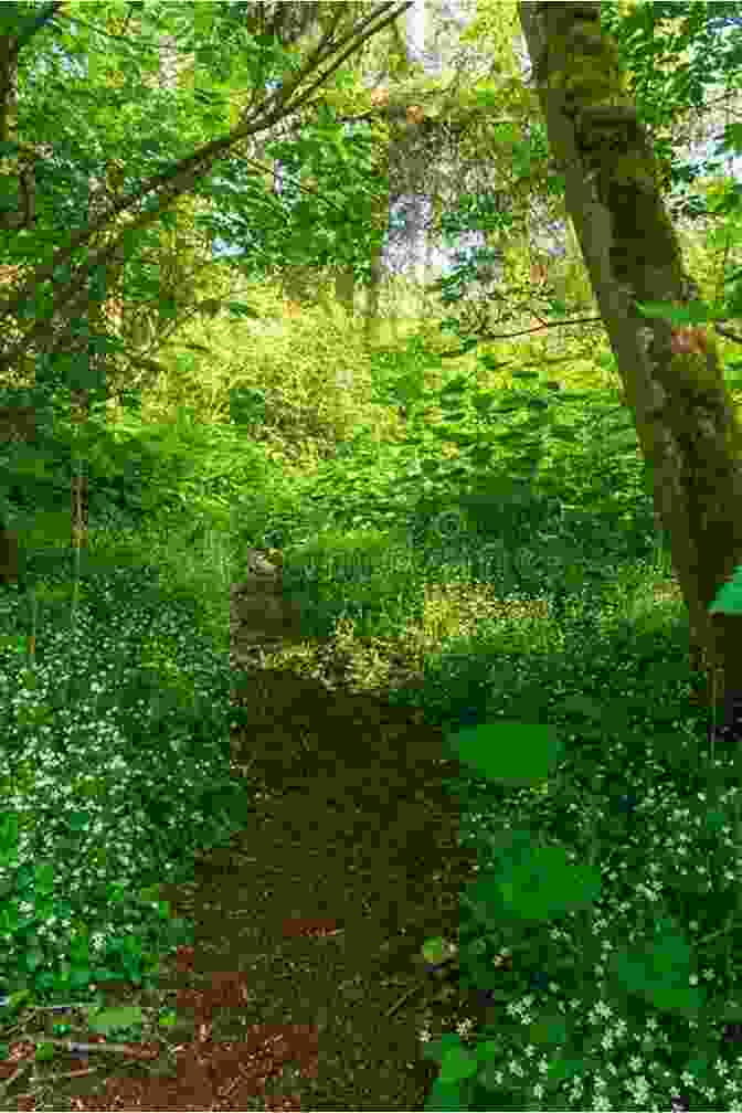 A Meandering Path Through A Romantic Garden, Surrounded By Lush Greenery, Wildflowers, And A Picturesque Bridge. Landscape And Garden Design: Lessons From History