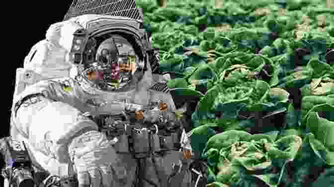 A Person Growing Food In Space Surviving Orbit The DIY Way: Testing The Limits Your Satellite Can And Must Match