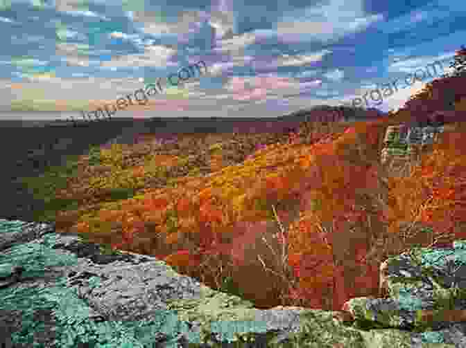 A Stunning Panoramic View Of The Majestic Ozark Mountains In Arkansas, With Rolling Hills, Verdant Forests, And A Winding River In The Foreground. A Father And Daughter Conversation About How The Coronavirus (Covid 19) Pandemic Has Changed All Of Our Lives : INCLUDES BEAUTIFUL NATURE PICS FROM THE GREAT STATE OF ARKANSAS ( DADDY WHY? SERIES)