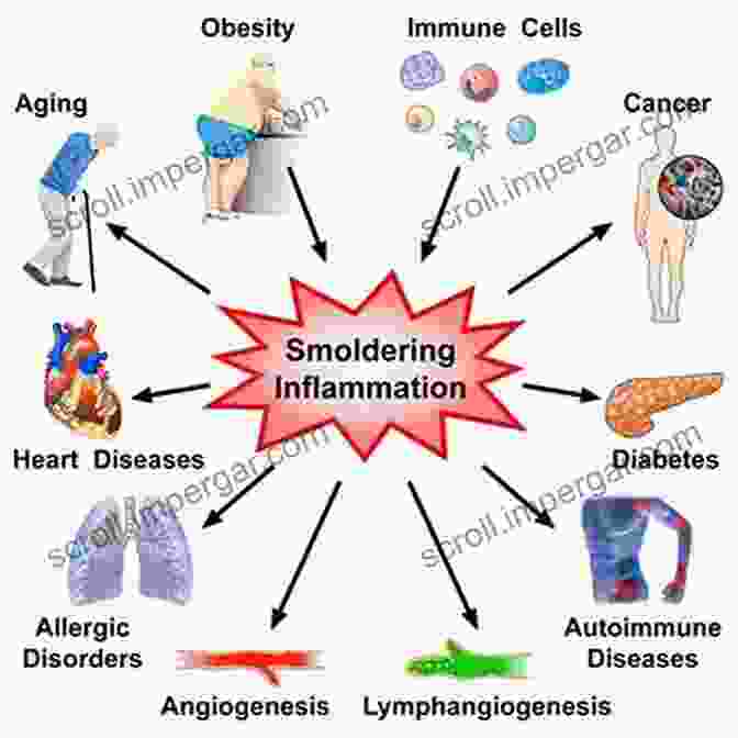 A Visual Representation Of Chronic Inflammation, Depicting Its Systemic Nature And Its Role In Various Chronic Disease Development. Manufacturing Depression: The Secret History Of A Modern Disease