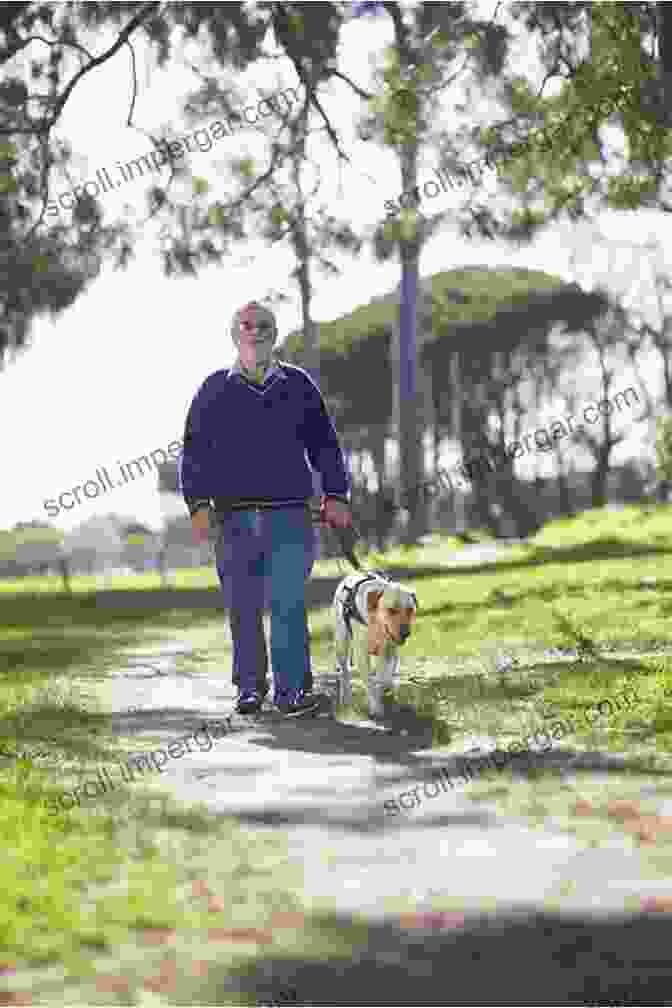 A Visually Impaired Man Walking With His Guide Dog Healing Companions: Ordinary Dogs And Their Extraordinary Power To Transform Lives