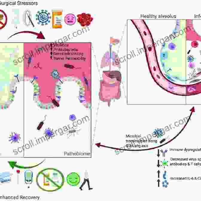 An Illustration Depicting The Intricate Connection Between The Human Microbiome And Overall Health, Emphasizing Its Role In Chronic Disease Prevention And Treatment. Manufacturing Depression: The Secret History Of A Modern Disease