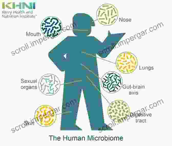 An Image Depicting The Disruption Of The Human Microbiome, Highlighting Its Role In Chronic Disease Development. Manufacturing Depression: The Secret History Of A Modern Disease