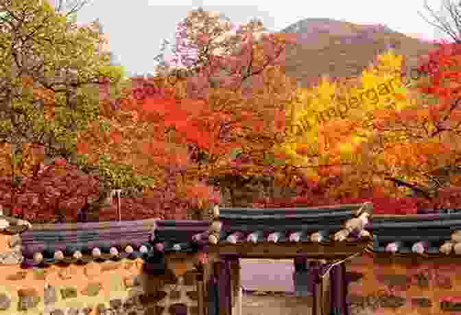 Ancient Buddhist Temple In Seoul, Korea, With Vibrant Autumn Foliage Korea Carlos R Smith