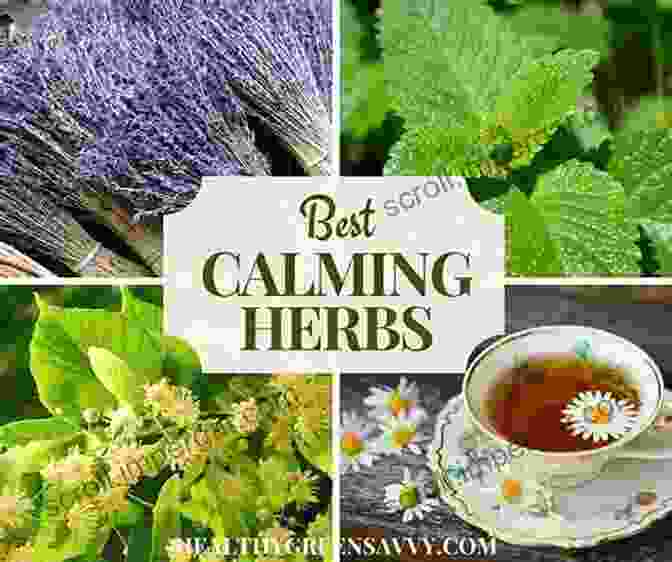 Aromatic Herb Garden Filled With Soothing Lavender, Calming Chamomile, And Invigorating Citrus Blossoms Garden Maker: Growing A Life Of Beauty And Wonder With Flowers