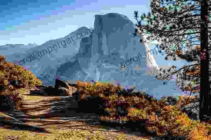 Close Up View Of Half Dome In Yosemite National Park, One Of The Five Bonus Peaks Featured In The Book The Great Quest: Fifty Us State High Points And More