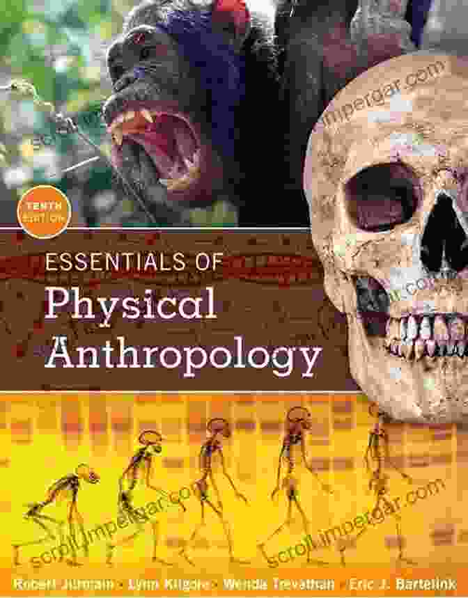 Essentials Of Physical Anthropology By Robert Jurmain Essentials Of Physical Anthropology Robert Jurmain