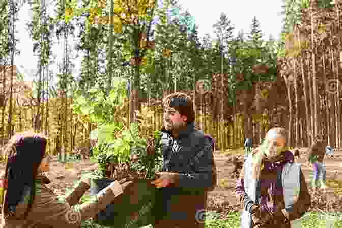 Foresters Planting Saplings In A Sustainable Forestry Project Forests And Forestry Of West Bengal: Survey And Analysis