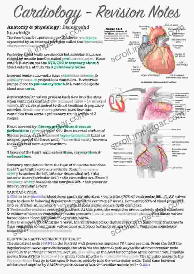 Glossary Of Cardiology Terms The Heart Made Easy (Cardiology Made Easy 1)