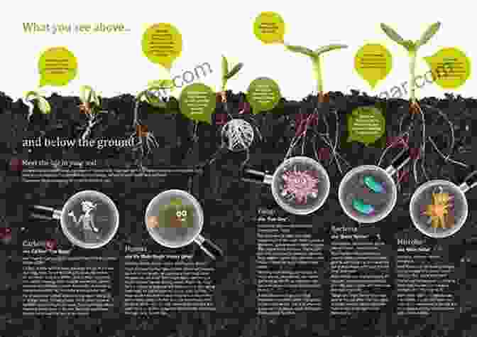 Healthy Soil Teeming With Life Australian Soil Fertility Manual Cara Flanagan