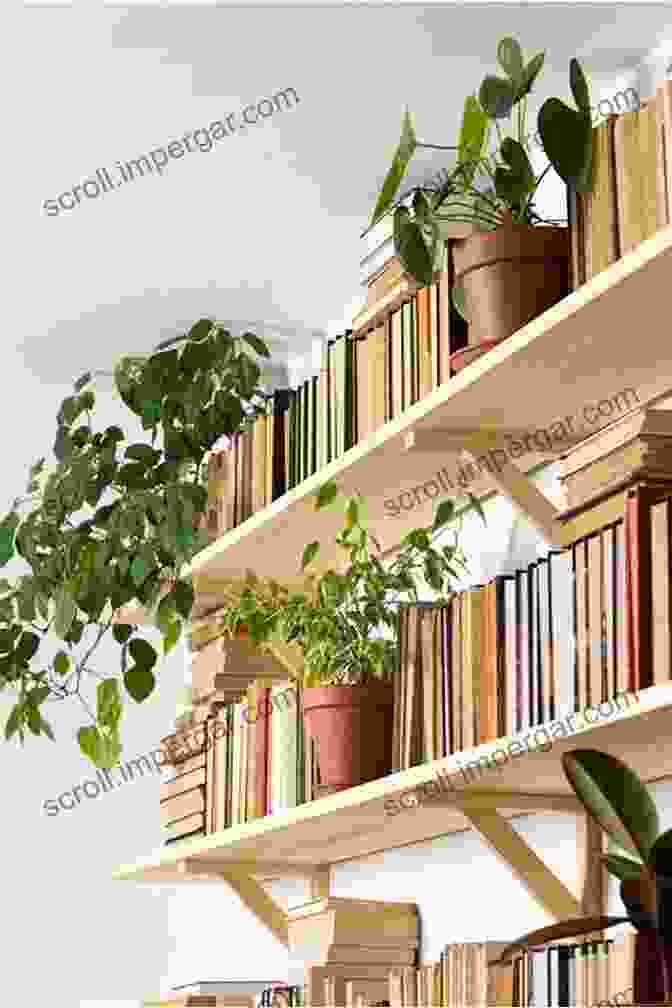 Image Of A Tidy And Organized Home With Bookshelves, Plants, And A Cozy Couch Secrets To Declutter Your Home: Tidy Up Your Home Quickly And Painlessly