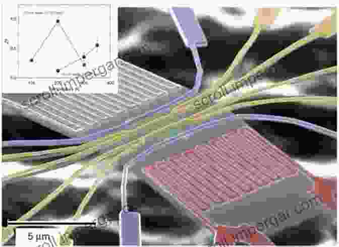 Image Of Nanostructured Devices For Energy Efficiency Nanophysics For Energy Efficiency (SpringerBriefs In Energy)