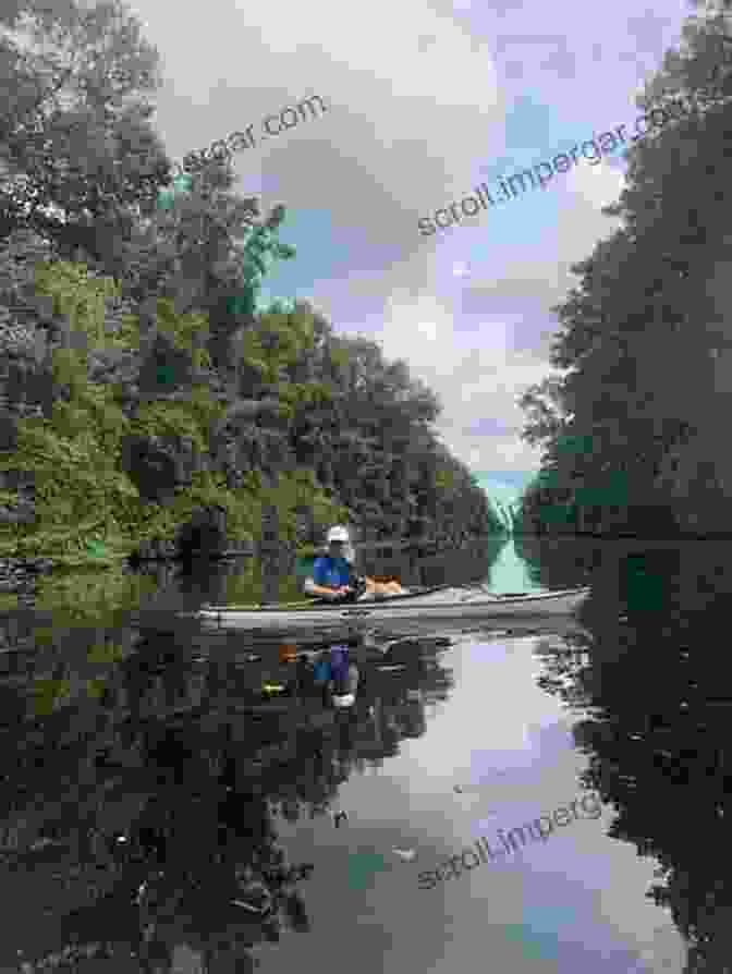 Kayak Launch In The Great Dismal Swamp Canal The ABCs Of Paddling The Great Dismal While Reading The Cantos Of Ezra Pound