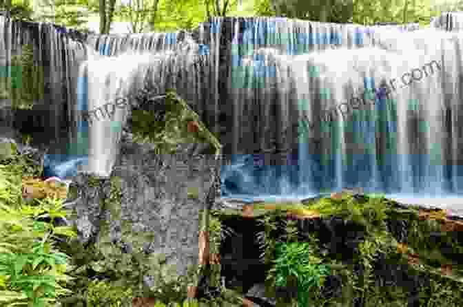 Majestic Mountains With Cascading Waterfalls And Verdant Forests Picturing The Of Nature: Image Text And Argument In Sixteenth Century Human Anatomy And Medical Botany