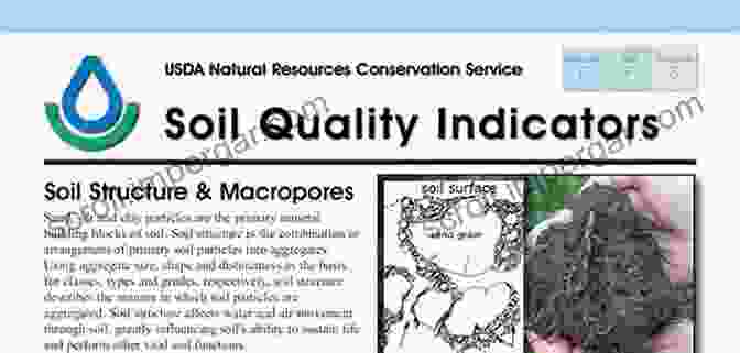 Monitoring Soil Health Indicators Australian Soil Fertility Manual Cara Flanagan