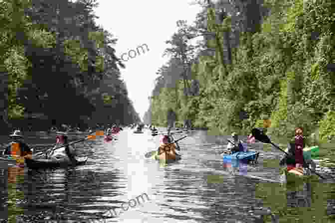 Paddlers Navigating The Great Dismal Swamp Canal The ABCs Of Paddling The Great Dismal While Reading The Cantos Of Ezra Pound