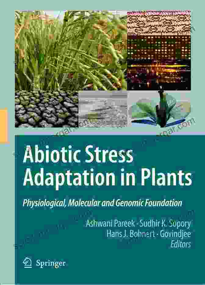 Physiological Molecular And Genomic Foundations Book Cover Abiotic Stress Adaptation In Plants: Physiological Molecular And Genomic Foundation