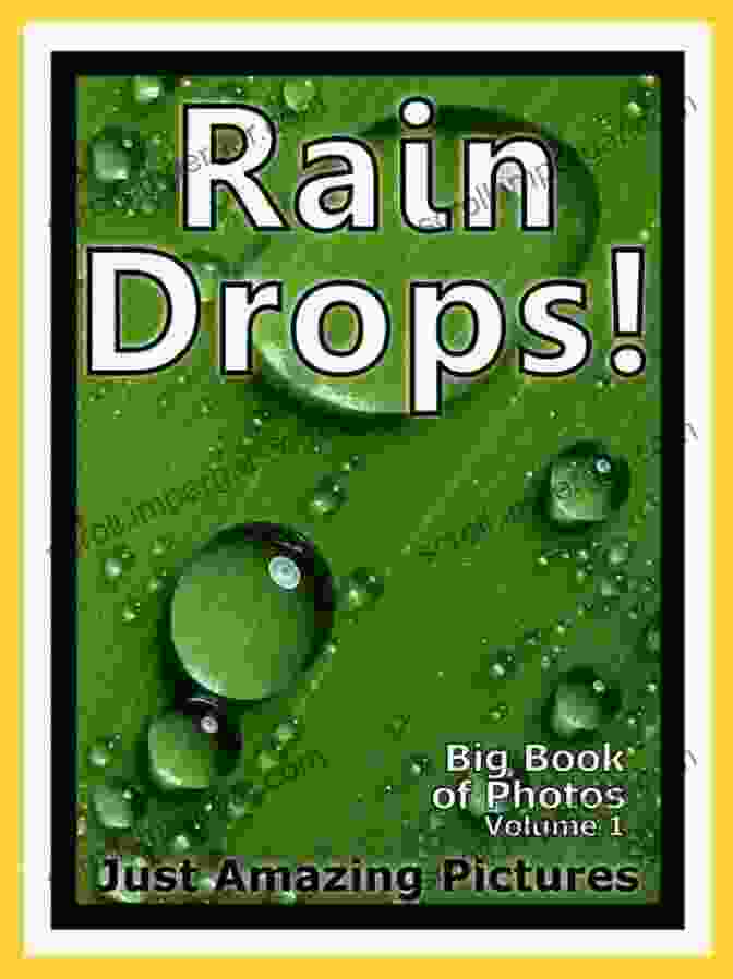 Rain Drops Thoughts Philosophy Ebook 17 Cover Rain Drops Thoughts (Philosophy EBook 17)