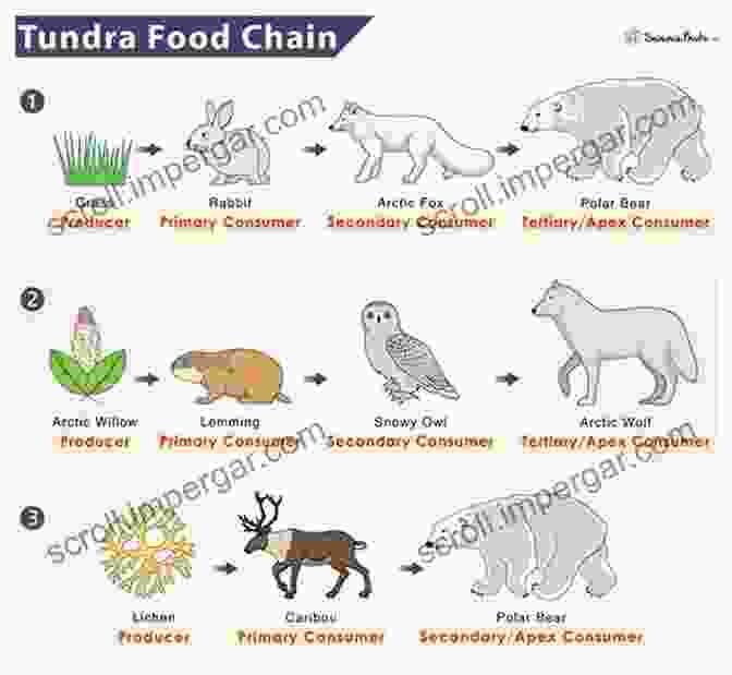 Tundra Top Of The Humor Food Chain Book TUNDRA: Top Of The Humor Food Chain