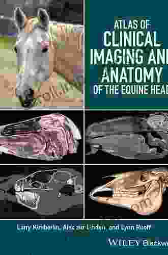 Atlas Of Clinical Imaging And Anatomy Of The Equine Head