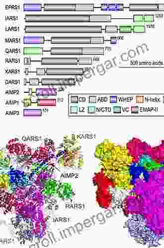 Biology of Aminoacyl tRNA Synthetases (ISSN 48)