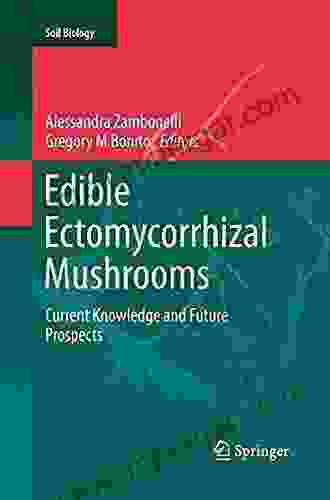 Edible Ectomycorrhizal Mushrooms: Current Knowledge And Future Prospects (Soil Biology 34)