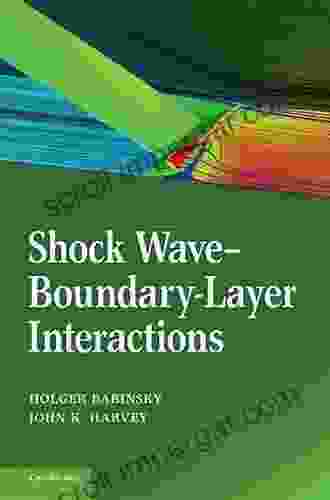 Shock Wave Boundary Layer Interactions (Cambridge Aerospace 32)