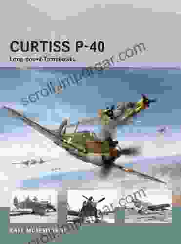 Curtiss P 40: Long Nosed Tomahawks (Air Vanguard 8)