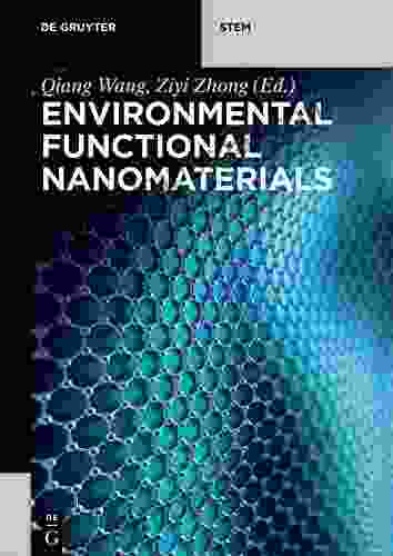 Environmental Functional Nanomaterials (De Gruyter STEM)