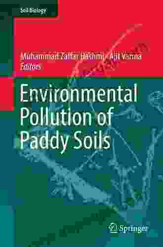 Environmental Pollution Of Paddy Soils (Soil Biology 53)