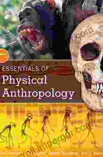 Essentials Of Physical Anthropology Robert Jurmain