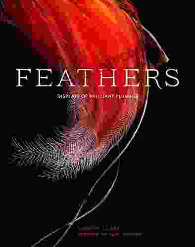 Feathers: Displays Of Brilliant Plumage