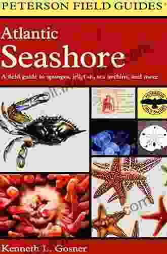 Atlantic Seashore: A Field Guide To Sponges Jellyfish Sea Urchins And More (Peterson Field Guides)