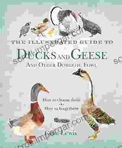 The Illustrated Guide To Ducks And Geese And Other Domestic Fowl: How To Choose Them How To Keep Them