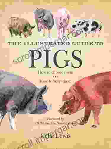 The Illustrated Guide To Pigs: How To Choose Them How To Keep Them