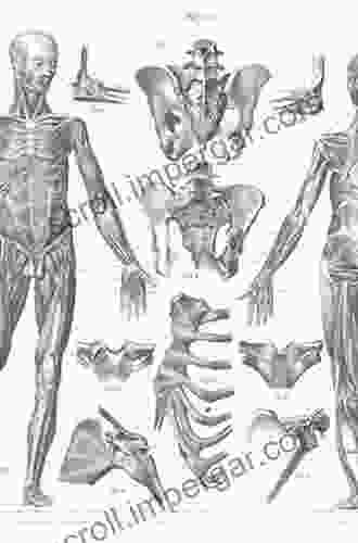 Human Anatomy (2 Downloads) Captivating History