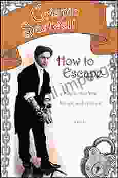 How To Escape: Magic Madness Beauty And Cynicism (Excelsior Editions)