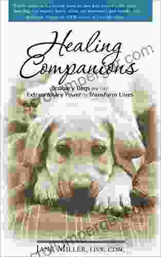 Healing Companions: Ordinary Dogs And Their Extraordinary Power To Transform Lives