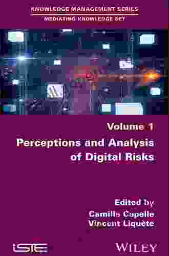 Perceptions And Analysis Of Digital Risks