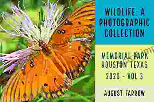 Wildlife: 13 Days In Memorial Park Houston Texas 2024 Vol 3: A Photographic Collection (Wildlife: Memorial Park: Houston Texas)