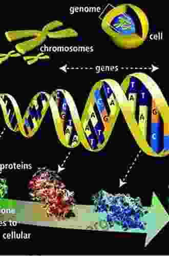 Abiotic Stress Adaptation In Plants: Physiological Molecular And Genomic Foundation