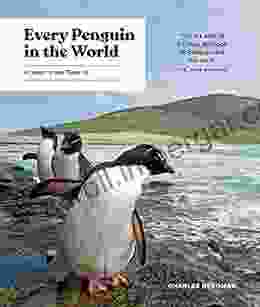 Every Penguin in the World: A Quest to See Them All