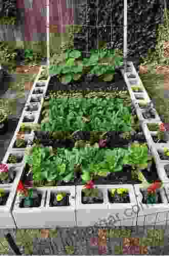 Raised Bed Vegetable Gardening Made Simple