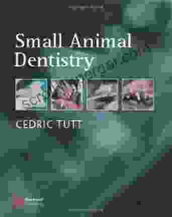 Small Animal Dentistry: A Manual Of Techniques