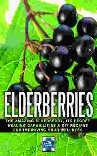 Elderberries: The Amazing Elderberry Its Secret Healing Capabilities DIY Recipes For Improving Your Wellness (Elderberries Elderberry Syrup)