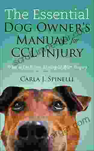 The Essential Dog Owner S Manual For CCL Injury: What To Do Before During After Surgery