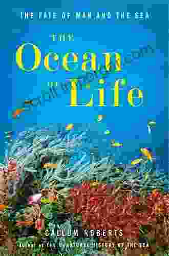 The Ocean Of Life: The Fate Of Man And The Sea