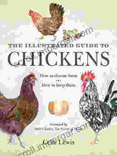 The Illustrated Guide To Chickens: How To Choose Them How To Keep Them