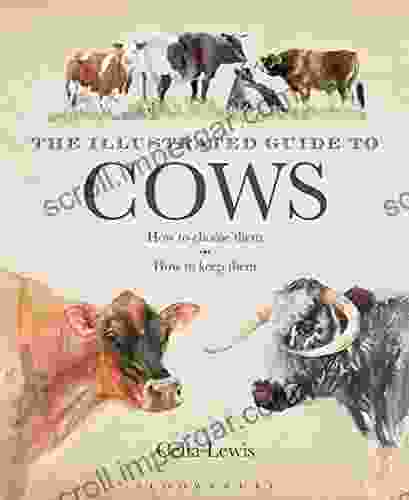 The Illustrated Guide To Cows: How To Choose Them How To Keep Them